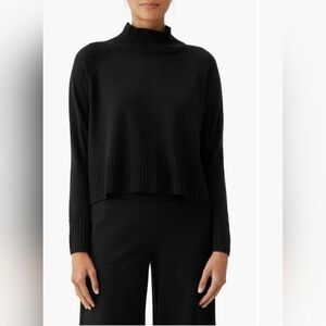 Eileen Fisher Merino Wool Turtleneck Sweater